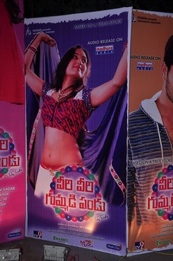 Veeri Veeri Gummadi Pandu Movie Audio Launch